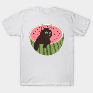 Watermeowlon T-Shirt